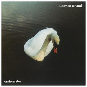 Ludovico Einaudi - Divenire - 2008  indian yellow