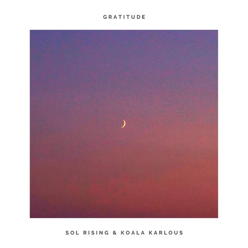 آلبوم “Gratitude” اثر “دوید دارلینگ”  Gratitude (Stripped)