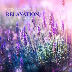 آهنگ بی کلام 1 البوم موسیقی بی کلام relaxation volume 1 اثری از tim janis