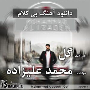 محمد علیزاده - گل بی کلام گل