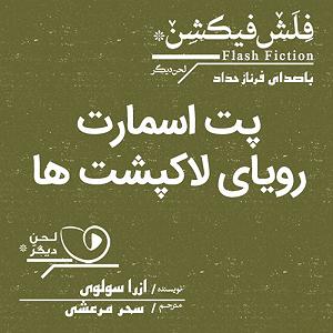 داستان لاکپشت ناقلا پت‌اسمارت: رویای لاک‌پشت‌ها