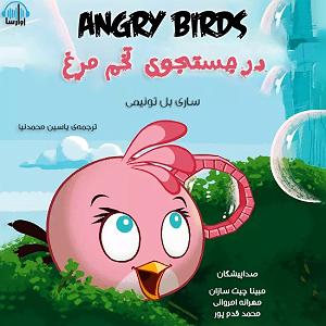 محمد معتمدی - در جستجوی آرامش پرندگان خشمگین، در جستجوی تخم‌مرغ