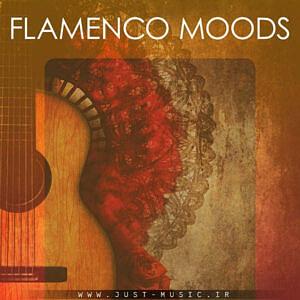 برترین‌های گیتار  بهترین اهنگ های گیتار فلامنکو flamenco moods