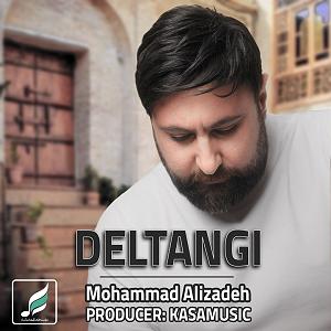 محمد علیزاده - اشتباه دلتنگی