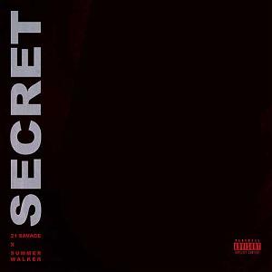 پادکست موسیقی الکترونیک سرناد 008 (50 آلبوم برتر سال 2018) secret