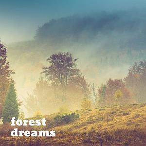 موسیقی آرامش بخش موسیقی امبینت آرامش بخش و عمیق Succession اثری از Forest Dreams