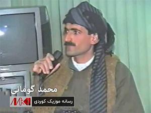 بویله سور گولی زه رد و سور