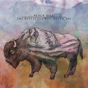 با موسیقی راک ریلکس کن موسیقی پست راک the buffaloes will never die اثری از black hill