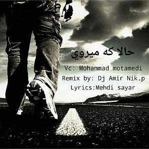 محمد معتمدی - حالا که می روی حالی که می روی(dj amir nikp remix)