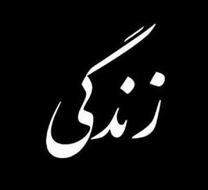 فرزین مهربون باش