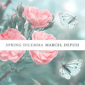 موسیقی آرامش بخش گیتار : قسمت اول موسیقی گیتار آرامش بخش Spring Dilemma اثری از Marcel Depuis