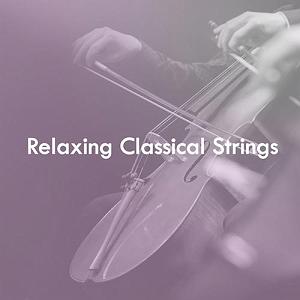 بهترین موسیقی کلاسیک فارسی البوم موسیقی کلاسیک ارامش بخش relaxing classical strings