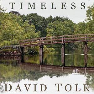 آلبوم Seasons از David Tolk Timeless