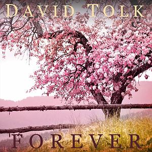  آلبوم Mosaic از  David Wahler بی کلام Forever پیانو آرامش بخش و صلح آمیز از David Tolk