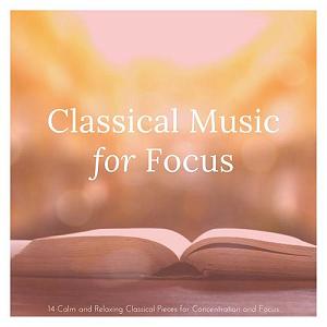 موسیقی آرامش بخش برای اسپا  موسیقی کلاسیک برای تمرکز : 14 قطعه ارام و ارامش بخش برای تمرکز و افزایش دقت