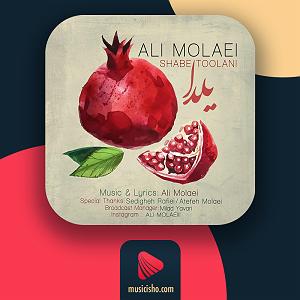 علی مولایی شب طولانی