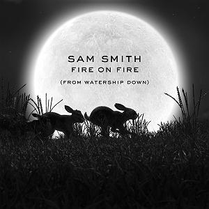 25 داستان یک وهابی  خدا هویت من است Fire on fire از سم اسمیت (Sam Smith)