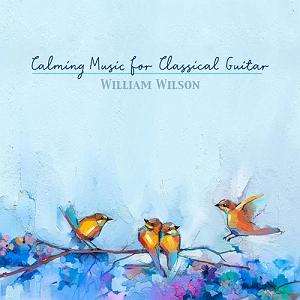 موزیکست شماره 1 : آرامبخش البوم موسیقی گیتار کلاسیک ارام بخش از ویلیام ویلسون