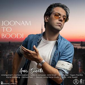 امیر سینکی جونم تو بودی