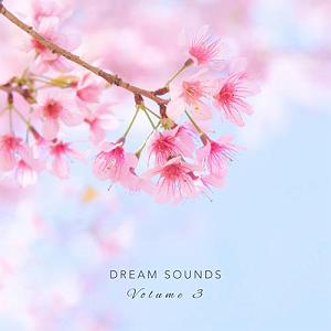 آلبوم بی کلام Eastern Twin البوم موسیقی بی کلام اواهای رویایی بخش سوم (dream sounds vol. 3)