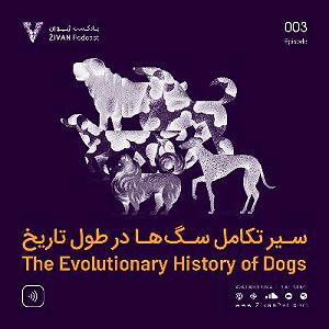 موسیقی برتر  انیمیشن isle of dogs (جزیره سگ ها) 03  سیر تکامل سگ‌ها در طول تاریخ