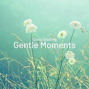 آلبوم  “Breathe” اثری از “Richard Evans” البوم موسیقی بی کلام gentle moments اثری از chris snelling