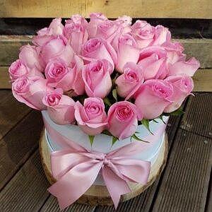 امیر سینکی حواست نیست