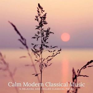 آلبوم موسیقی فولکلور چینی  Ling Nan Feng Music البوم calm modern classical music موسیقی مدرن کلاسیک ارامش بخش و ملایم