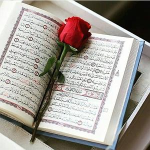 دانشجوی اسکل ترتیل کل قرآن با شهريار پرهيزكار  به تفکیک 30 جزء