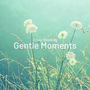 آلبوم بی کلام  Bright Future اثری از Peder B. Helland البوم موسیقی بی کلام gentle moments اثری از chris snelling