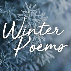 موزیکست شماره 1 : آرامبخش شعرهای زمستانی ، منتخبی از های کلاسیک ارام بخش و دلنشین