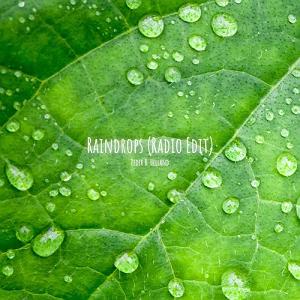  Raindrops - johnathan sarlat raindrops(radio edit)