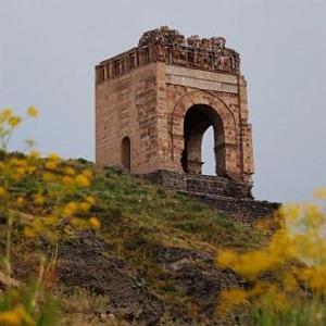 وطن وطن