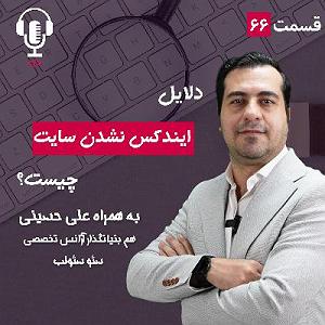 پادکست طراحی وب دیما ۶۶ – دلایل ایندکس نشدن چیست؟ به همراه علی حسینی