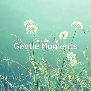 آلبوم بی کلام Eastern Twin البوم موسیقی بی کلام gentle moments اثری از chris snelling