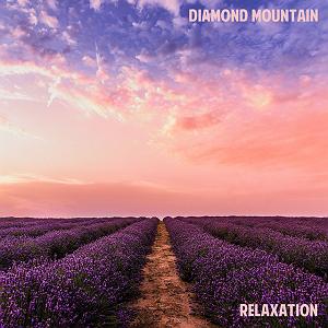 Diamond Bourse relaxation