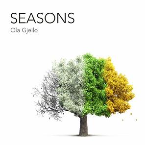 موسیقی آرامش بخش موسیقی پیانو ارامش بخش seasons اثری از ola gjeilo
