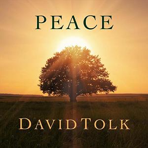 آلبوم Seasons از David Tolk موسیقی بی کلام ارامش بخش peace اثری از david tolk