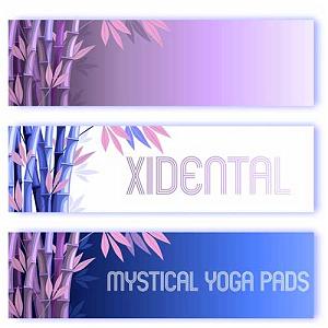 آلبوم عرفانی “The Omen” از “Lars Alsing” البوم mystical yoga pads موسیقی عرفانی اثری از xidental