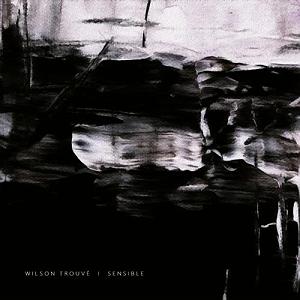 آلبوم بی کلام  Bright Future اثری از Peder B. Helland البوم موسیقی بی کلام sensible اثری از wilson trouve