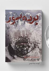 بویله سور کتاب صوتی برده سور