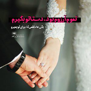 بلک کتس بوسه