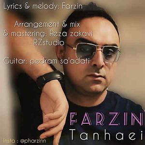 فرزین تنهایی