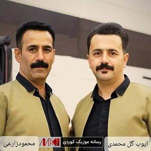 آلبوم عشقیم گل ایوب گل محمدی و محمود زارعی