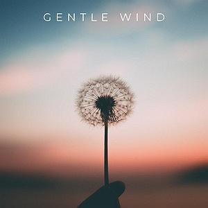 اهنگ زمینه زندگی پس از زندگی موسیقی پس زمینه امید بخش Gentle Wind اثری از Morninglightmusic