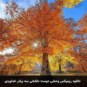 وحشی غریب وحشی دوست داشتنی