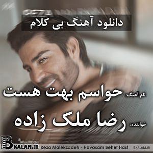 رضا ملک زاده - من به تو وابستم حواسم بهت هست