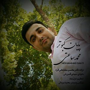 ساعتی برای آرامش  پایان کبوتر