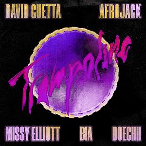 David guetta دیوید گتا و Afrojack Trampoline