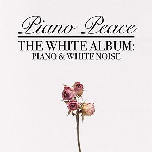 (Lost In Istanbul (Donid Remix lost in white noise